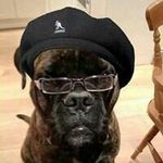Mark Whelan - @mark.whelan1974 - Instagram