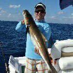 Mark Whitaker - @markwhit - Instagram