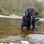 Mark Whitaker - @markwhitaker80 - Instagram