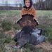 Mark Whitaker - Facebook