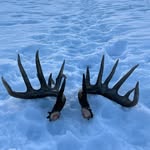 Mark White - @antler_impact - Instagram