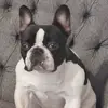 mark whiteley - @mark.whiteley56 - TikTok