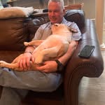 Mark whiting - @markwhiting61 - Instagram