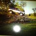 Mark Whitwell - Facebook