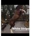 Mark Whitwell - Facebook