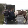 Mark Whitwell - @mark.whitwell - TikTok