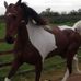 Mark Whitwell - Facebook