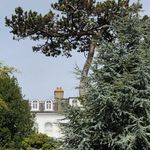 @markwickgardens - Instagram