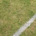 Mark Wickens - @wickens_mark - Instagram