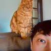 MarkWickens - @kenjiwickens - TikTok