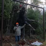 Mark A Wickett - @markwickett - Instagram