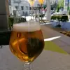 user795164537290 - @mark.widel - TikTok