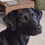 Mark Wiederrecht - @markwiederrecht - Instagram