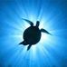 Mark Wiemann - Facebook