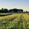 markwieman - @markwieman - TikTok