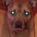 Mark Wightman - Facebook
