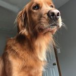 Mark Wilcoxson - @mark.wilcoxson - Instagram