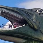 Mark Willard - @mark.willard.332 - Instagram