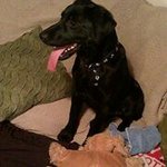 Mark Willer - @willer32 - Instagram