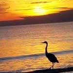 Mark Windham - @windham_mark - Instagram