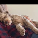 Mark Windle - @markw1118 - Instagram