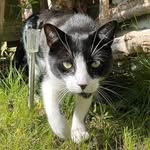Mark Windle - @emarkwindle - Instagram