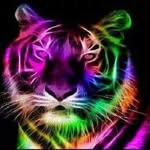 Mark Winfield - @mark.winfield.9047 - Instagram