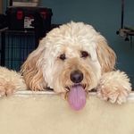 Mark Winkelbauer - @markwinkelbauer - Instagram