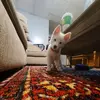 markwinkle - @markwinkle - TikTok