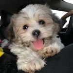 Mark C-winski - @teddy_the_bear3 - Instagram