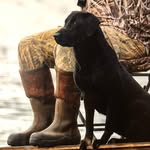 Mark Winters - @tuscumbiariverretrievers - Instagram