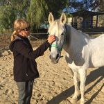 Mark Winters - @horsetherapy02 - Instagram