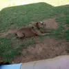 Mark Wishon - @mark.wishon - TikTok