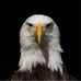 Mark Witek - Facebook