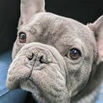 Mark Wittenberg - @wittenberg9 - Instagram