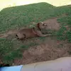 Mark Wishon - @mark.wishon - TikTok