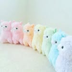 Mark Wojtowicz - @wojtowicz.mark - Instagram