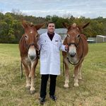 Mark Wolfer - @wolfer_mark - Instagram