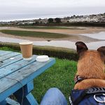 Mark Woolcock - @ma.rk6402 - Instagram