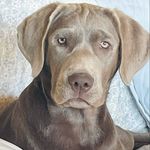 Mark Woolridge - @mawoolridge68 - Instagram