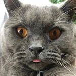 Mark Worman - @mark_worman1 - Instagram