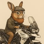 Mark Worrall - @markworrall411 - Instagram