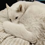 travis berger - @qhat_wuestion_mark - Instagram