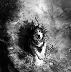 Mark Wulf - Facebook
