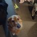 Mark Wyant Sr. - Facebook