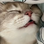 Mark Yamhoshing - @markyam - Instagram