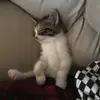 mark:) - @mark.yanez - TikTok