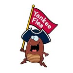 Yankee Flea Market - @yankeefleamarket - Instagram