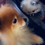 Mark Yankovsky - @mark.yankovsky - Instagram