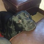 Mark Yardley - @markyardley2013 - Instagram